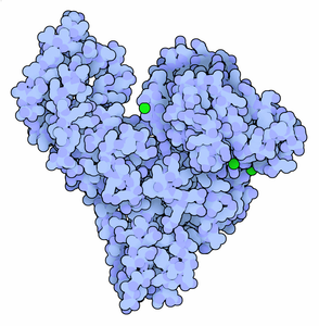 TRANSIL MSA Binding Kit