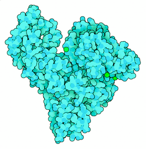 TRANSIL RSA Binding Kit